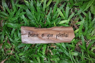 bark with the motivational word 