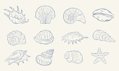Set of hand-drawn seashells in monochrome blue ink. Tropical beach shells. Summer vacation design elements. Vector illustration.