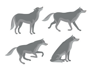 Vector set of flat hand drawn wolves isolated on white background