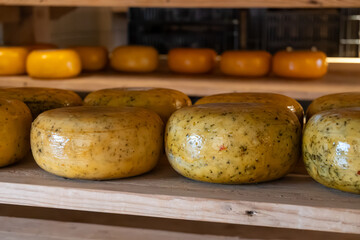 Wooden shelves with hard matured cheese from cow's milk at cheese factory in North Holland, The Netherlands, Dutch cheese farm