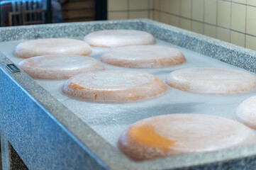 Cow's milk cheese production process at cheese factory in North Holland, The Netherlands, Dutch chees farm, cheese wheels are salted in salt bath