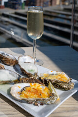 Eating of fresh Zeeuwse creuse oysters on farm in Yerseke with living harvested oysters, Oosterschelde, Zeeland, Netherlands.Variety of oysters on plate served with glass of champagne wine.