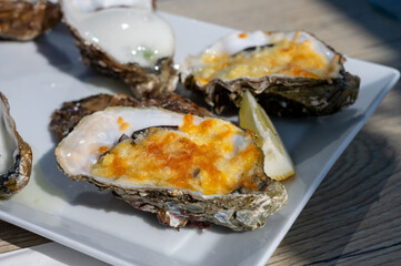 Eating of fresh Zeeuwse creuse oysters on farm in Yerseke with living harvested oysters, Oosterschelde, Zeeland, Netherlands.Au gratin oysters with cheese from oven.