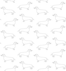 Vector seamless pattern of flat hand drawn outline dachshund dog isolated on white background