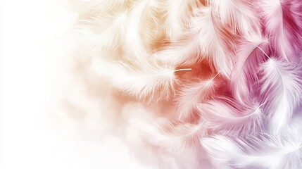 Numerous white feathers are drifting across an ombre background of pink, peach, and white hues.