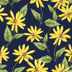 Yellow daisy flowers with green leaves, black background. Floral illustration. Vector seamless pattern. Botanical design. Summer garden plants