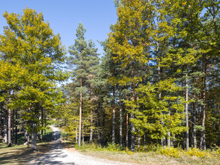 Autumn view of Plana Mountain, Sofia region, Bulgaria