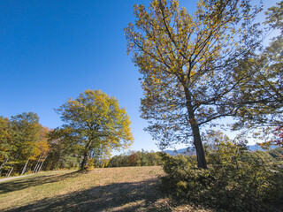Autumn view of Plana Mountain, Sofia region, Bulgaria