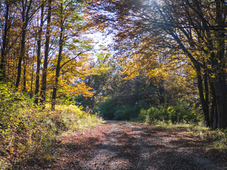 Autumn view of Plana Mountain, Sofia region, Bulgaria