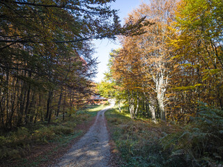 Autumn view of Plana Mountain, Sofia region, Bulgaria