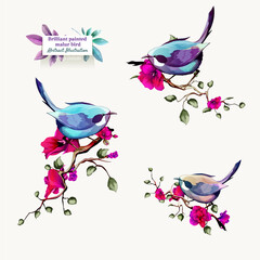 Brilliant painted malur on branches with leaves. Set of birds isolated on white. Hand drawn, watercolor illustration. Design elements. Vector - stock.