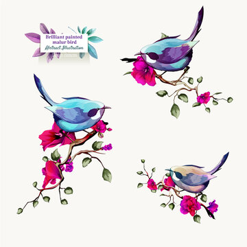 Brilliant painted malur on branches with leaves. Set of birds isolated on white. Hand drawn, watercolor illustration. Design elements. Vector - stock.