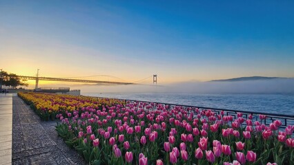 A tranquil scene at sunset featuring vibrant pink tulip blossoms against a foggy harbor backdrop.