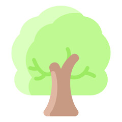 Fototapeta premium Linden Tree