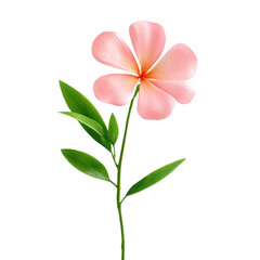 Obraz premium Pink flower with green leaves isolated on transparent background