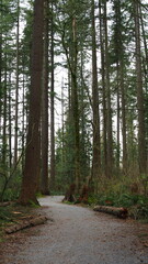 Minnekhada Regional Park in BC, CANADA