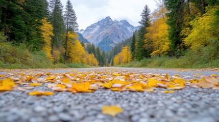Autumnal mountain road (1)