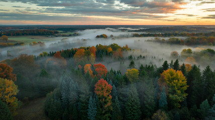 Obraz premium Stunning autumn landscape with colorful foliage and morning mist in a serene forest at sunrise