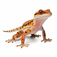 Obraz premium This lively gecko design highlights stunning details, perfect for wildlife art, educational projects, or decorative displays.