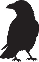 Blackbird Silhouette – Minimal Vector Illustration on White Background
