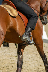Obraz premium close-up of brown horse legs during dressage detail of a horse and rider in a riding arena