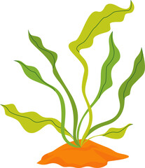 Green Plant Illustration