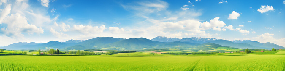 Fototapeta premium Minimalistic landscape.