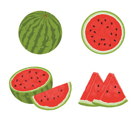 Set of watermelon fruit with different cut and slices