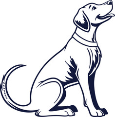 black labrador retriever dog