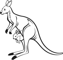 kangaroo vector illustration