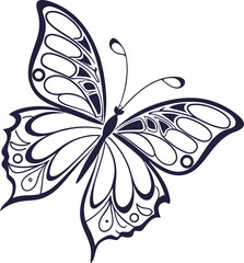 butterfly on white background