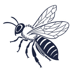 vector illustration of cartoon bee
