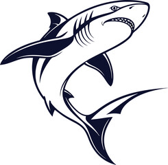 shark vector illustration