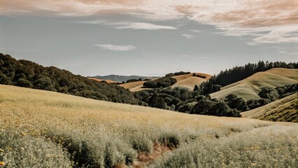 Serene landscape with rolling hills under a cloudy sky.