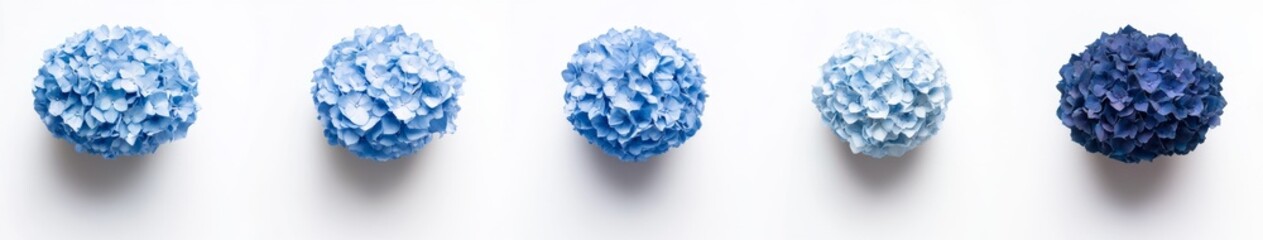 Gradient Hydrangea Balls