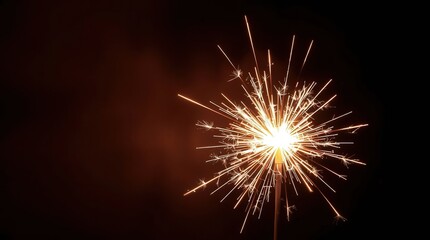 Fototapeta premium Bright sparkler illuminating the dark night sky.