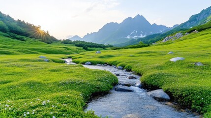 Naklejka premium Pristine alpine meadow at sunrise. A crystal-clear stream meanders through a lush green field, surrounded by majestic mountains bathed in golden sunlight