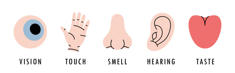 Five human senses. Vision, smell, hearing, touch, taste. Eye, hand, nose, ear, tongue.