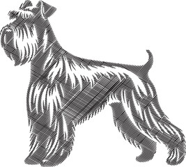 Playful Schnauzer Dog Illustration