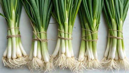 Fototapeta premium Fresh Green Onion Bunches Tied with Twine