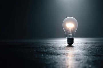 A lightbulb symbolizing a creative thought or innovative concept.