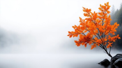 Autumnal lake scene, orange leaves in mist