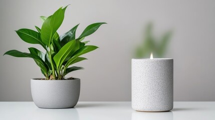 Obraz premium Modern plant and candle on a table