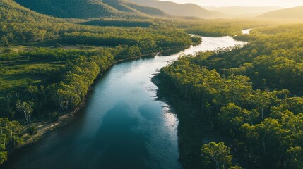Obraz premium Aerial view depicts a serene river winding through dense green forests