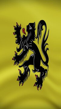 Flanders Waving Flag in Vertical Orientation. Realistic Flag Animation. Seamless Loop Background.