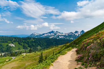 Mountain trail in the Alps. Pathway walking path in picturesque mountain landscape. Hiking trail going through forest and meadow. Mountain trail scene. Mountain landscape with hiking trail. Traveling