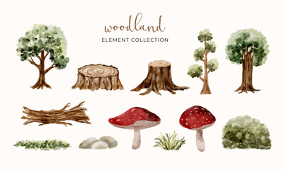woodland forest watercolor element collection
