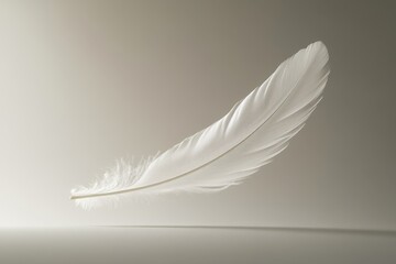 Obraz premium Delicate white feather in soft light