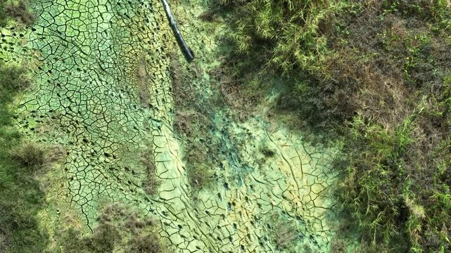 Cracked soil with unnatural green crust and patchy vegetation hints at high salinity or heavy metal presence from industrial chemical exposure.
