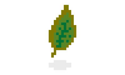 Fototapeta premium pixel art of leave vector